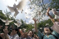 Родственники погибших на войне солдат выпускают белых голубей в честь годовщины окончания Второй мировой воны в храме Ясукуни в Токио 15 августа