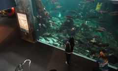 Vancouver, British Columbia, Canada, aquarium 3