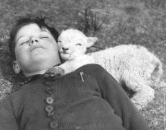 Новорожденный ягненок прижимается к мальчику, 1940 год