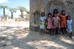 1 сентября, школьники и школьницы Республики Мадагаскар у баобаба, Африка 2