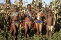 1 сентября, школьники и школьницы Королевства Свазиленд, Африка 9