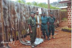 1 сентября, школьники и школьницы Республики Кот д’Ивуар, Африка 20 dealer arrested with 50 python skins