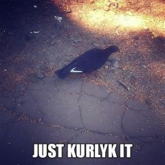 just kurlyk It