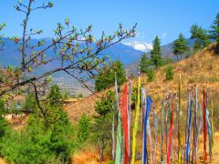 New Year Losar 2015 In Thimphu, Kingdom Of Bhutan, Новый год Лосар 2015 в Тхимпху, Королевство Бутан 2