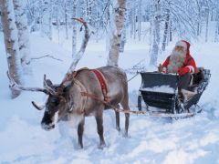 New Year 2015 In Lapland, Finland