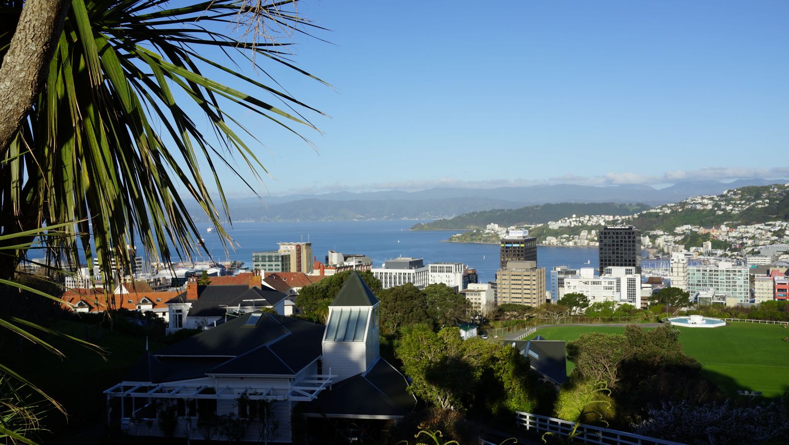 Wellington new zealand. Веллингтон (новая Зеландия). Новая Зеландия столица Веллингтон. Веллингтон климат. Новая Зеландия столица Веллингтон фото.