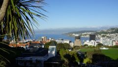 Wellington, New Zealand, Immigration, Rospersonal 13