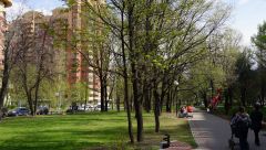 Парк вдоль ул. Гарибальди, дома 11 13, Москва 01.05.2016 г.