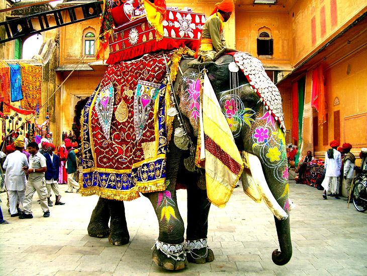 Фестиваль слонов