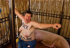 FEMEN подложили свинью Мишелю Платини в день его рождения.