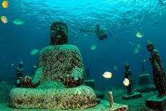 Новогодний индусский праздник Isakawarsa 'Day of Silence' New Year 2016 на острове Бали, Underwater life.jpg