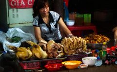 Новый 2016 год во Вьетнаме, Vietnamese Lunar New Year Festival Tết Nguyên Đán In Hanoi Vietnamese Street Food At The Hanoi Night Market