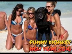 Funny Sms For New Year 2016 7