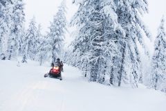 Happy New year 2016 In Finland, Snowmobiling 2