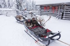 Happy New year 2016 In Finland, Reindeer Sleigh Ride