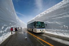 Это японские горы (3000 м над уровнем моря), зима здесь длится с ноября по апрель и толщина снега достигает 20 метров. От туристов нет отбоя.