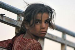 Yazidi girls dragged By their hair into sexual slavery And sold For $25
