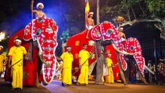 58c21Aluth Avurudda (Sinhalese New Year) Новый год в Sri Lanka