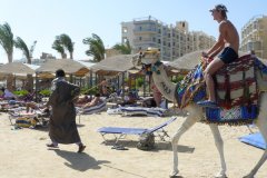 Араб катает туриста на верблюде.