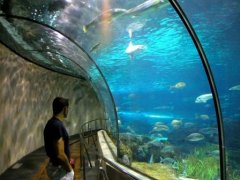 аквариум в Сиднее