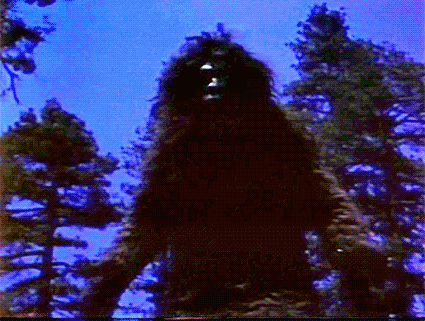 small.1128939077_Canadianslang-Squatch.g