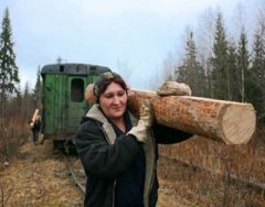 Женщина рабочий лесозаготовок.jpg