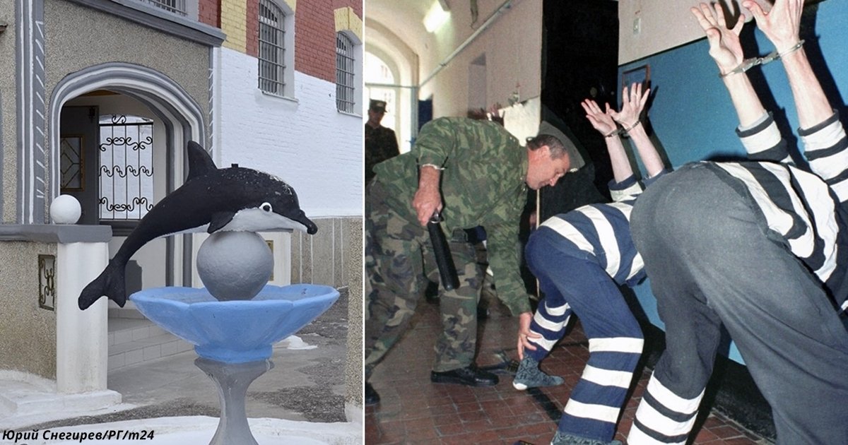 Что такое черный дельфин тюрьма. ИК-6 черный Дельфин. Соль-Илецк тюрьма черный Дельфин. Зона в Оренбурге черный Дельфин. Черны1 Дельфин тюрьма.