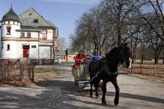 horse-carriage-The-best-prison-bastoy-prison-Norway.jpg