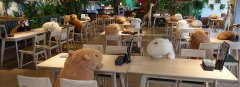japanese-zoo-stuffed-animal-capybara-social-distancing-designboom-immigration-job-rospersonal-Mikhaylov-Evgeny-Matveevich-Immigration-Agent-Moscow.jpg