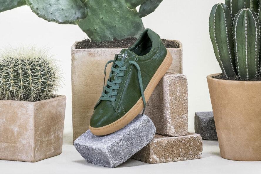 CLAE launches vegan-cactus leather-sneakers-visa-news-rospersonal-Mikhaylov-Evgeny-Matveevich-Immigration-Agent-Moscow .jpg