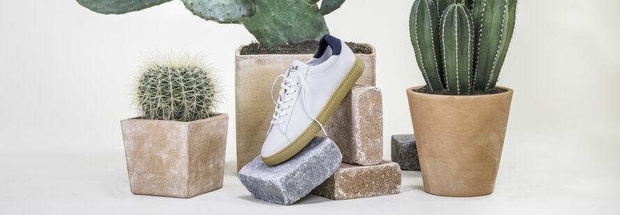 CLAE launches-vegan cactus leather sneakers-visa-news-rospersonal-Mikhaylov-Evgeny-Matveevich-Immigration-Agent-Moscow .jpg
