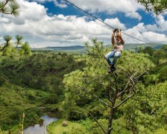 Mexico_Life-interstate-zipline-over-the-Passion--visa-news-rospersonal-Mikhaylov-Evgeny-Matveevich-Immigration-Agent-Moscow.jpg