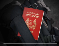 Копия Singapore-Work-Visa.png