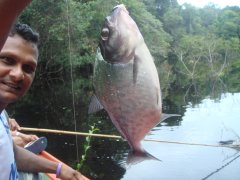 76_Piranha_Fishing.JPG